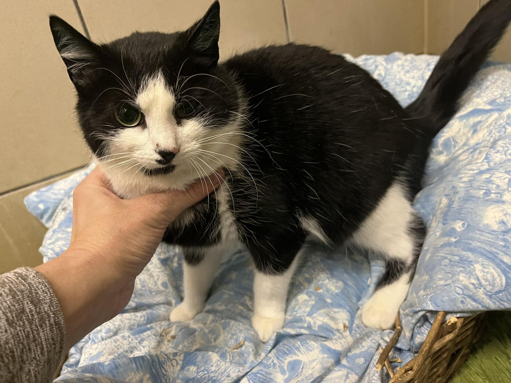 627402708_1216038827343776_2979382151133272107_n (2)